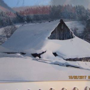 drevenicky_2_20170306_1951461175_original