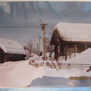 drevenicky_4_20170306_1194301698_original