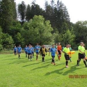 muzi_5_20190613_1766075206_original