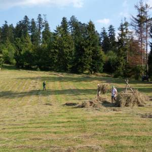 ff_8_20180520_1350389980_original