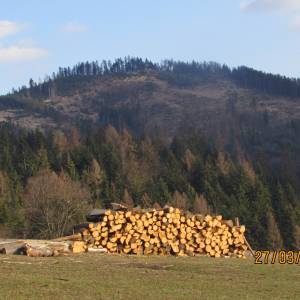 korcha_3_20160422_1497567251_original