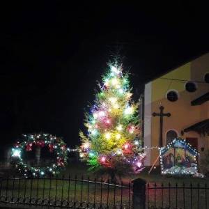 miky2_1_20211209_1686928896_original