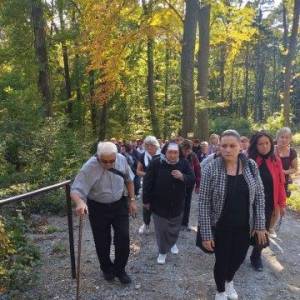 ladce_10_20191103_1320187633_original