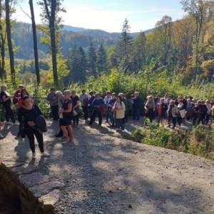 ladce_15_20191103_2049869199_original