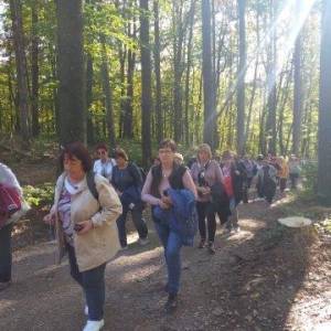 ladce_17_20191103_1975679609_original