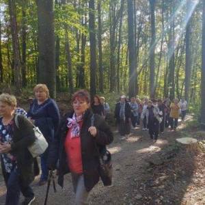 ladce_18_20191103_1974558403_original