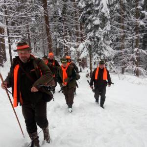 polov_6_20190303_1712460045_original