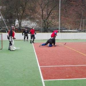 hokejbal_1_20160227_2040868079_original