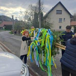 maj23_14_20230504_1438344899_original