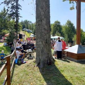 omsa_11_20230913_1669118202_original