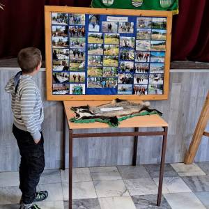 trofej2_8_20230702_1675356329_original