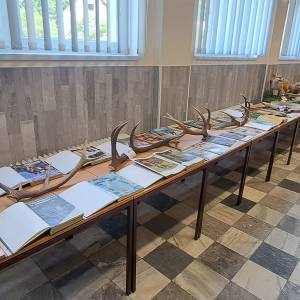 trofej3_16_20230702_1125792252_original