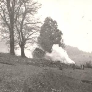 image006_original