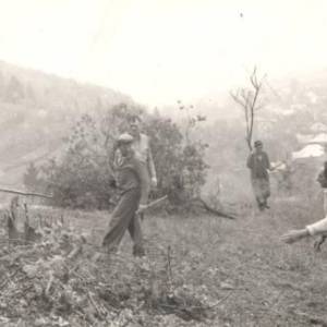 image007_original