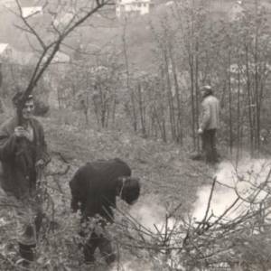 image011_original