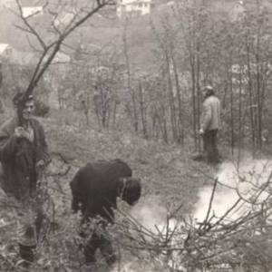 image012_original