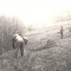 image013_original