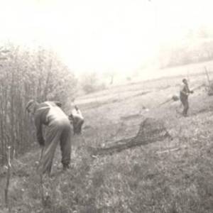 image014_original