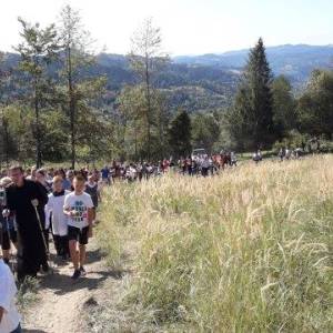 omsa_1_20190923_1150064762_original