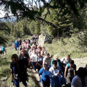 omsa_3_20190923_1846724968_original