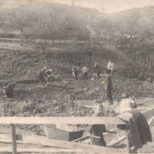 image006_original