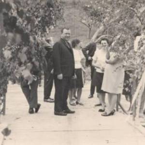 image084_original