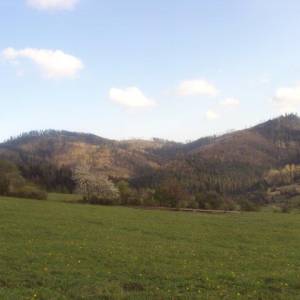 obec_24_20160216_1452142024_original