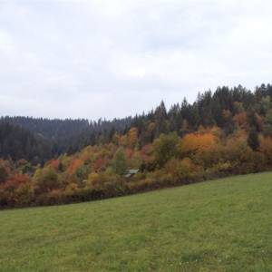 obec_60_20160216_1881894587_original