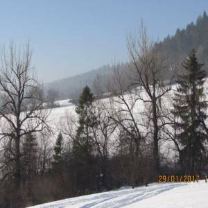 zabery_1_20170217_1259827473_original