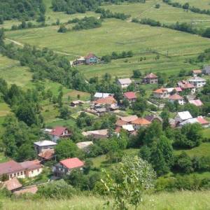 zabery_9_20180205_1442114650_original