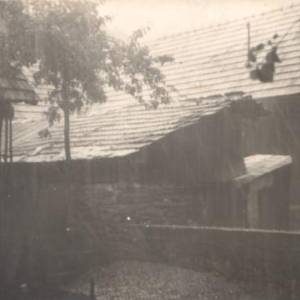 image002_original
