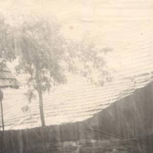 image004_original